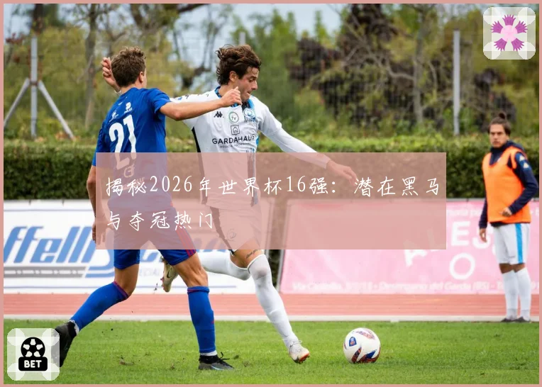 揭秘2026年世界杯16强:潜在黑马与夺冠热门
