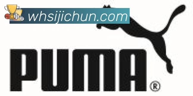 kaiyun官方网站登录入口合作伙伴